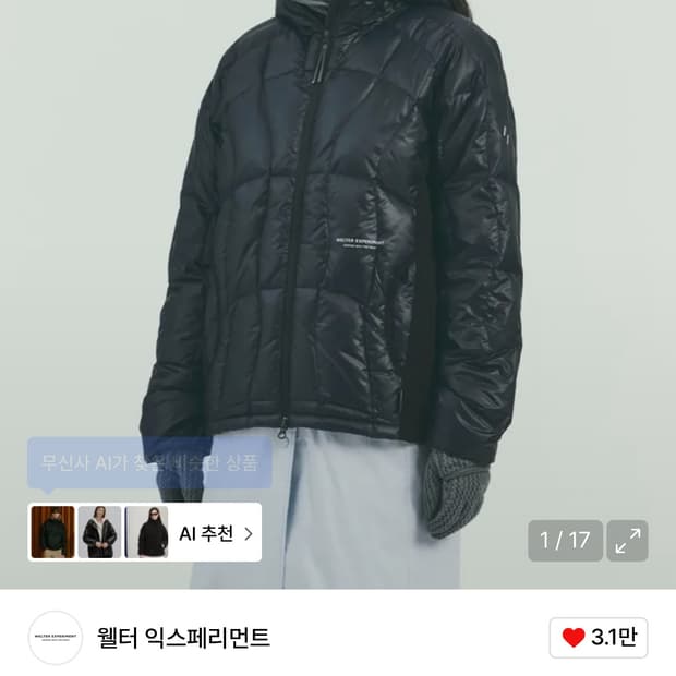 웰터 익스페리먼트