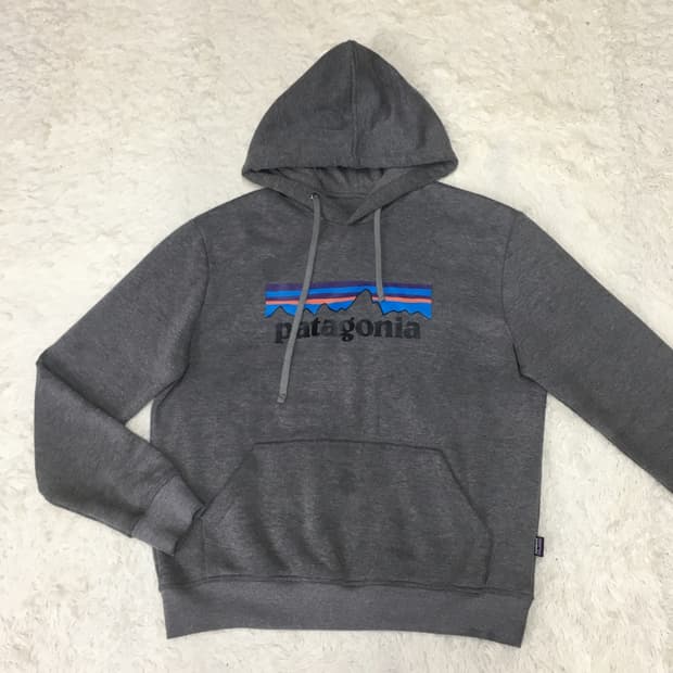 파타고니아 빅로고 후드티 DD15