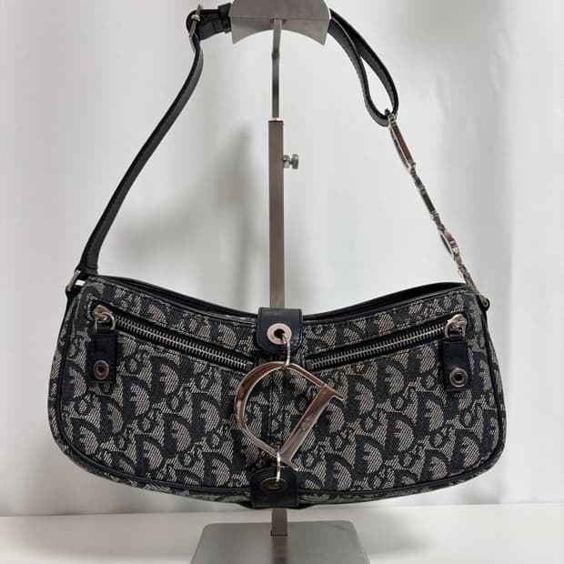 디올 오블리크 디링 새들백