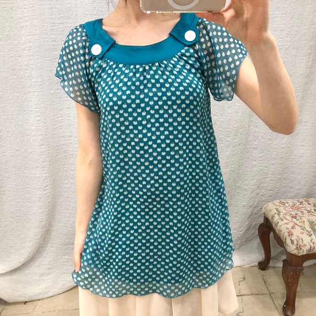 Blue apple blouse