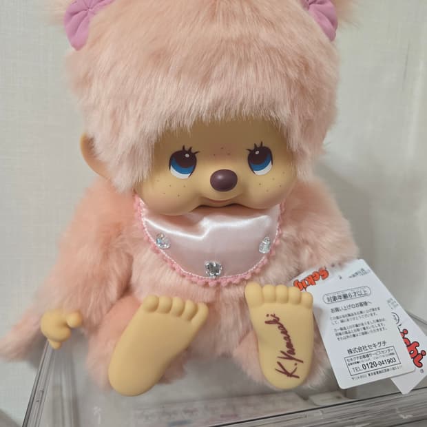 노작몬치치