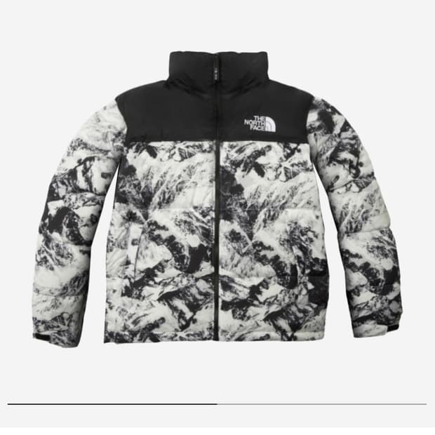 노스페이스 1996 노벨티 눕시 누트럴 그레이