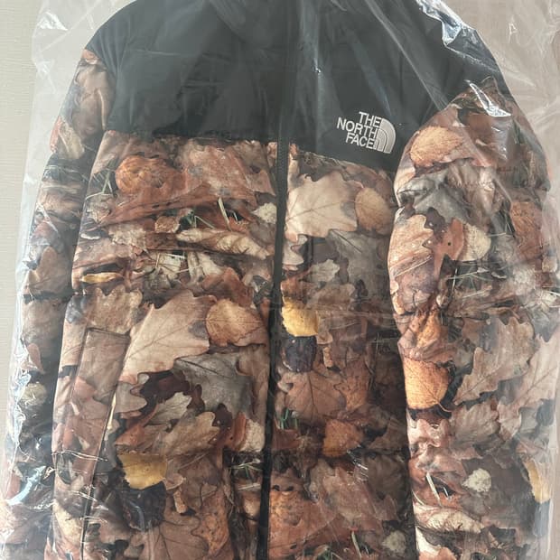 슈프림 노스페이스(슈노) 낙엽 눕시 팝니다.