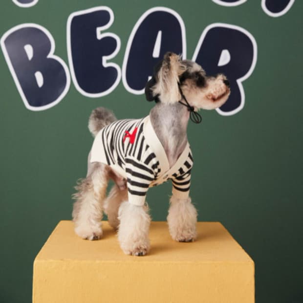 블랙스트라이프 강아지 니트 가디건