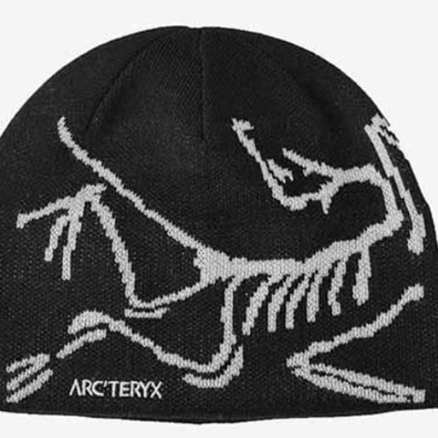 아크테릭스 버드 헤드 토크 비니