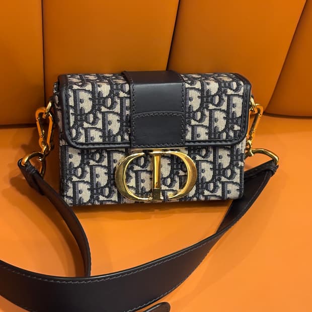 디올 몽테인30 오블리크 미니 백