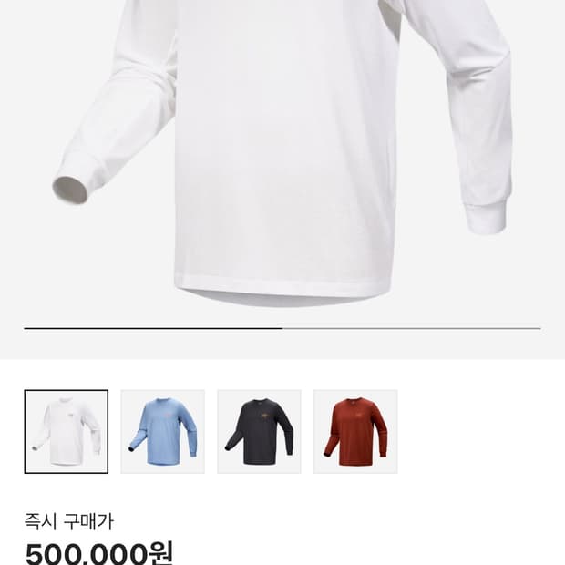 아크테릭스 롱슬리브