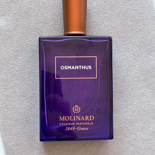 몰리나르 오스만투스 금목서 향수  100ml