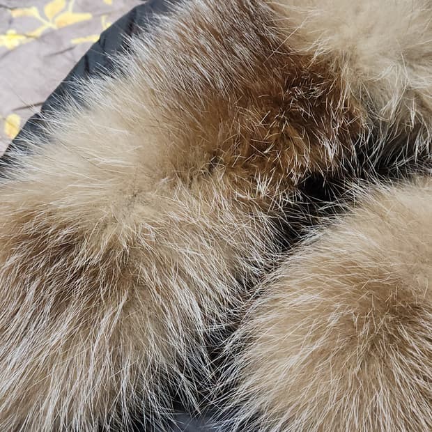 몽클 보에딕3 사이즈. 천연폭스퍼