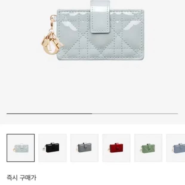 디올 아코디언 지갑 스카이블루