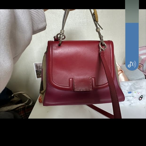 팬디 실바나 백/공효진 백으로 유명