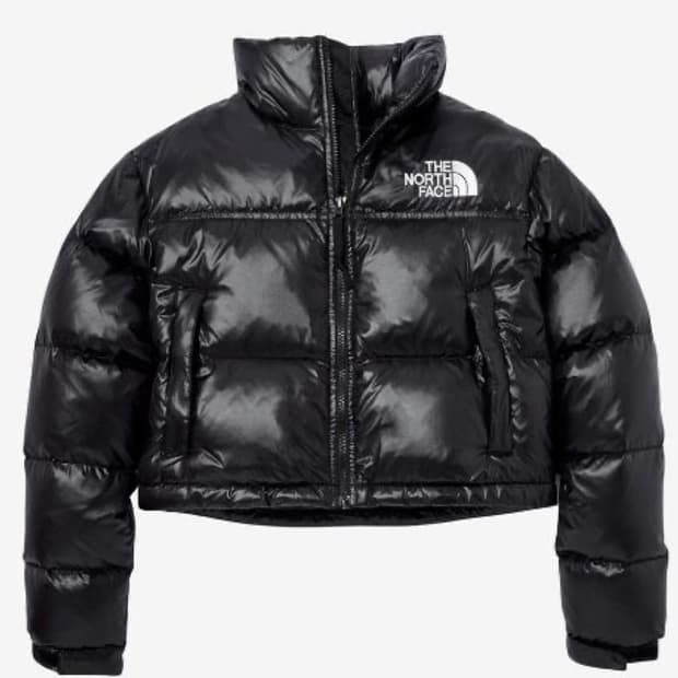 노스페이스 크롭 눕시 s