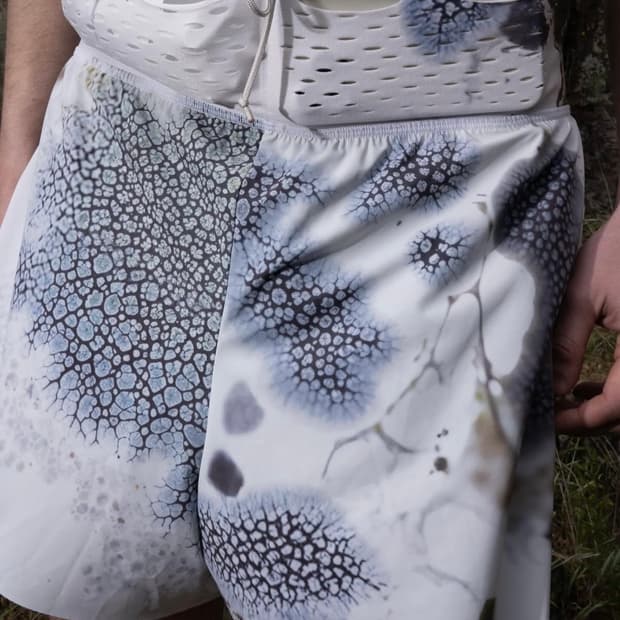 Gnuhr x oem warp short short 3-4