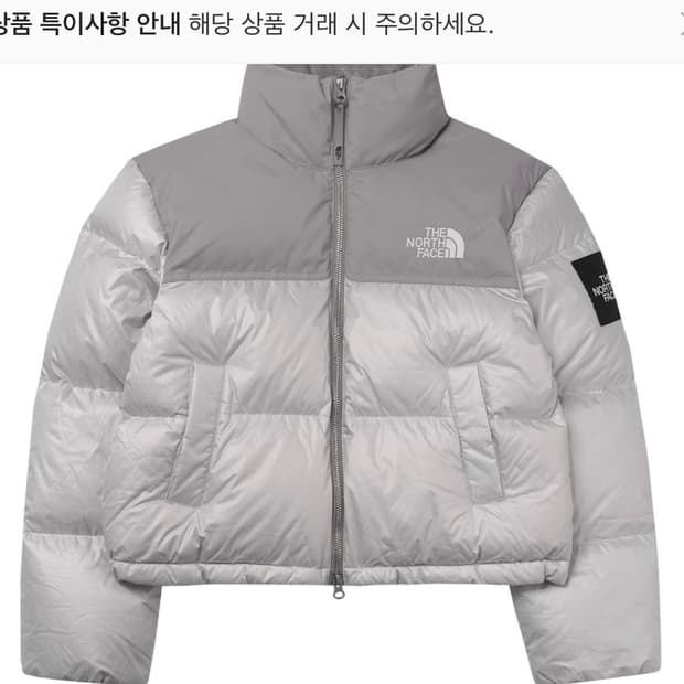 노스페이스 화이트 라벨 노벨티 눕시 다운 자켓 아이스그레이 XS