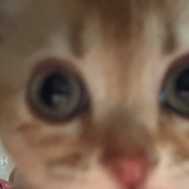 깅깅