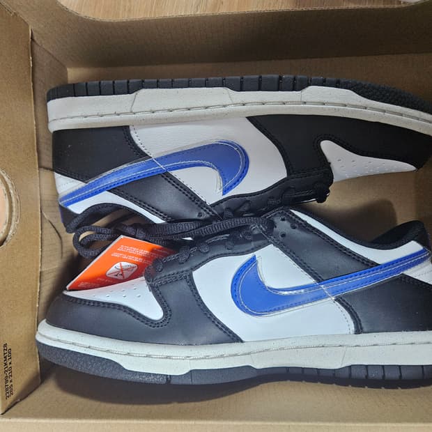 나이키 덩크 로우 넥스트 네이처 GS 225