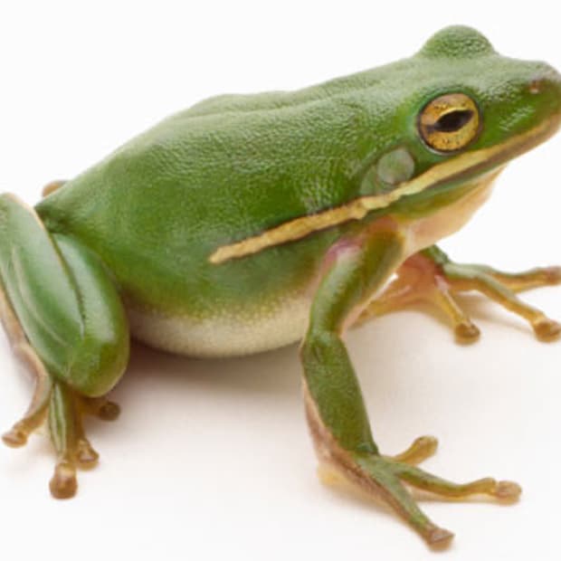 edpgml2000님 개인결제창