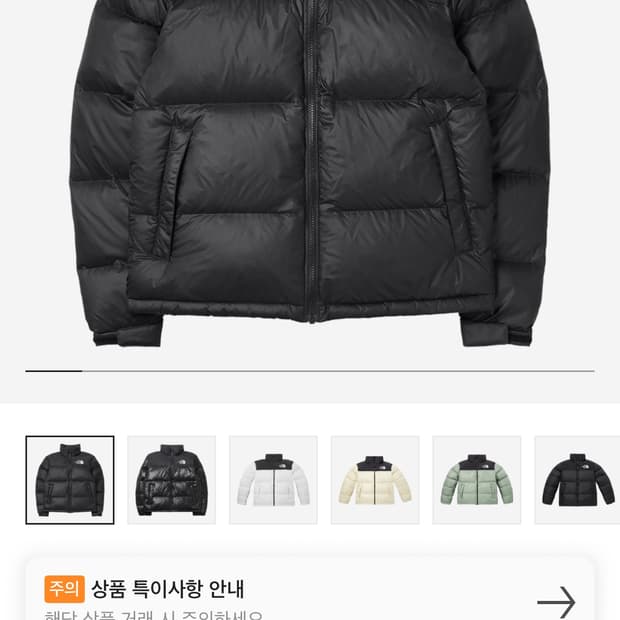 눕시1996에코