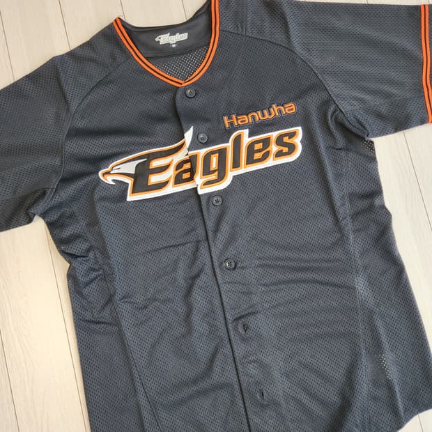 한화 이글스 레플리카 유니폼(원정) 사이즈90

여러 중고사이트에도 같이