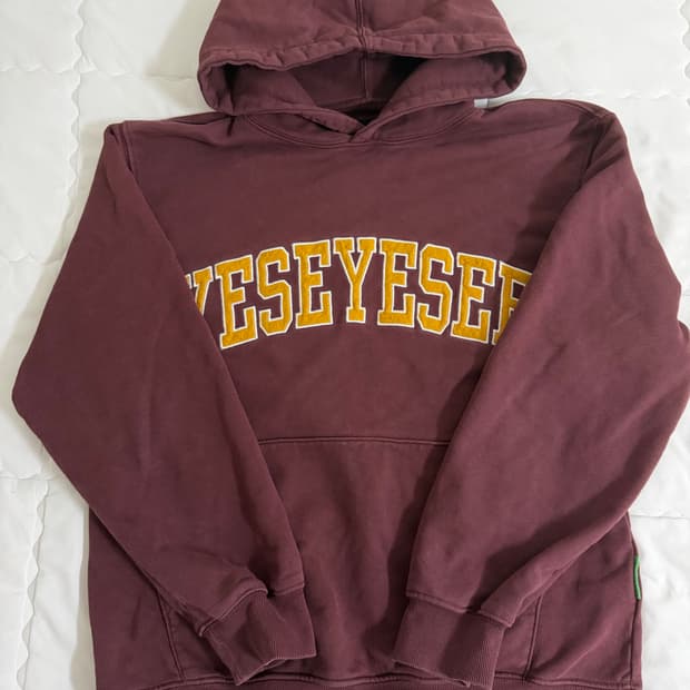 Yeseyesee 후드티
