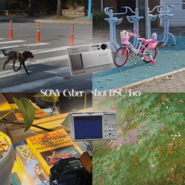 작례⭕️ 소니 DSC-T10 실버 메탈릭⌚