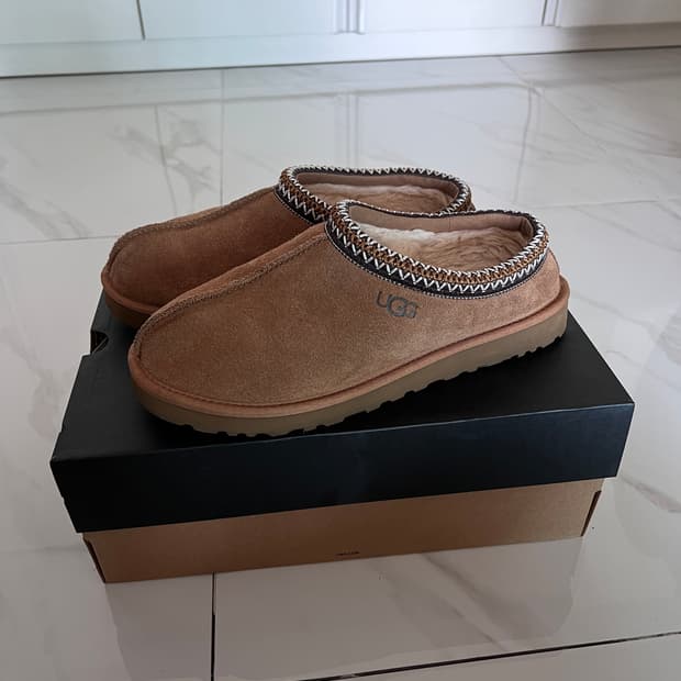 어그 타스만 (270)