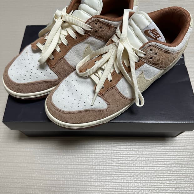 나이키 덩크 로우 커리