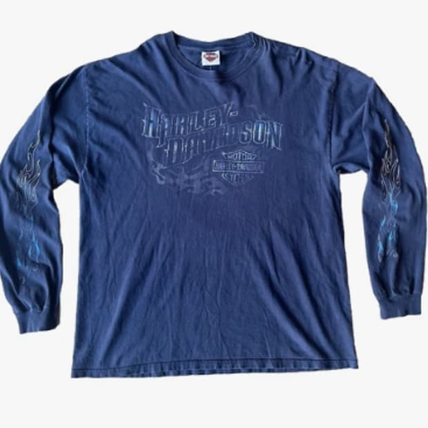 Vintage harley stussy 롱슬리브티