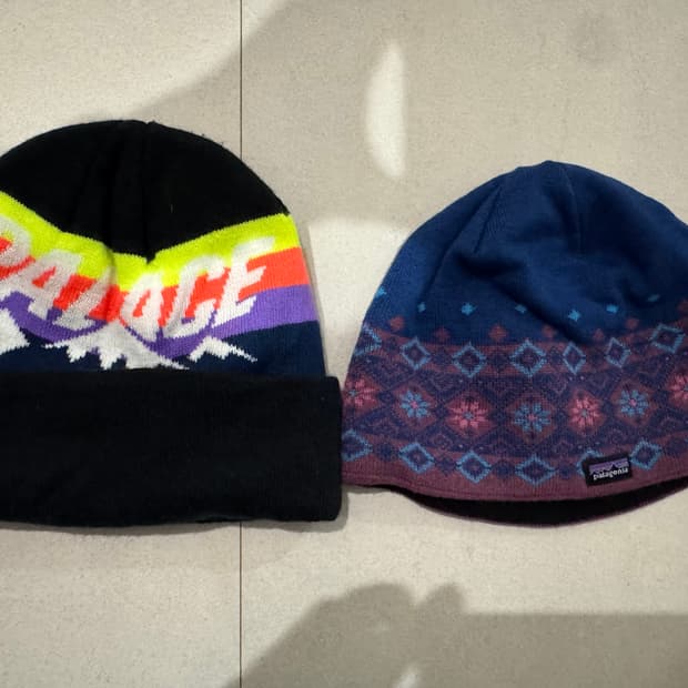 팔라스 &파타고니아 비니