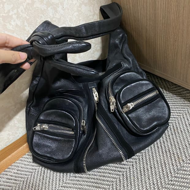 알렉산더왕 도나 호보백