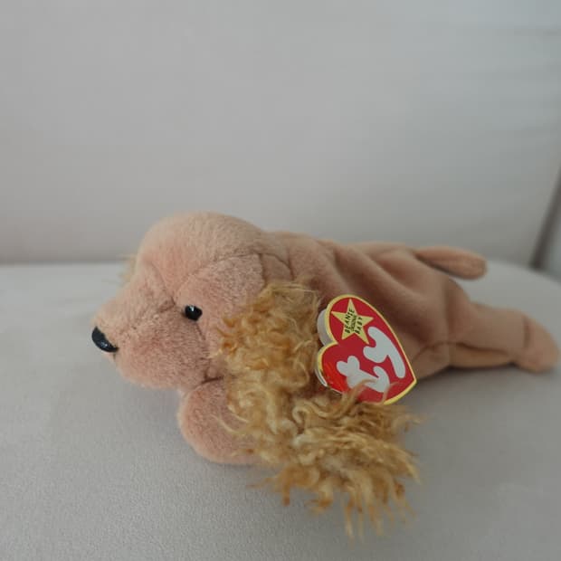 Ty 코카스파니엘