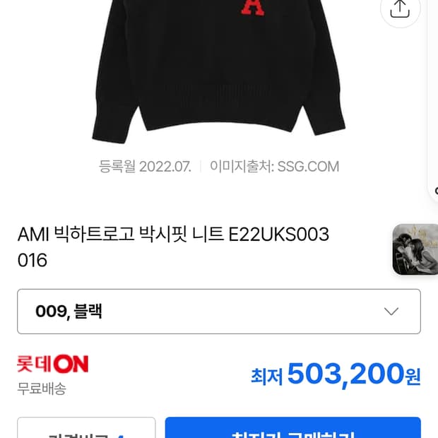 아미 빅하트 니트