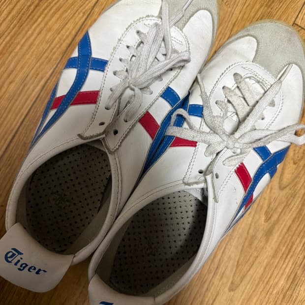 오니츠카타이거 270