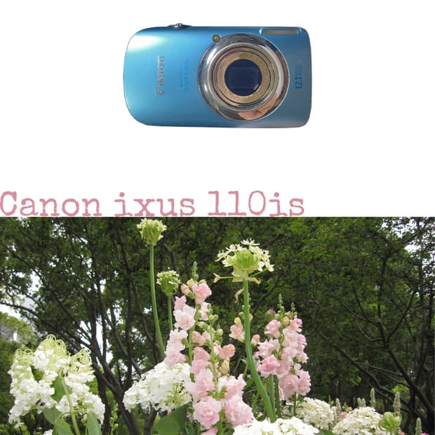 Canon ixus 110is