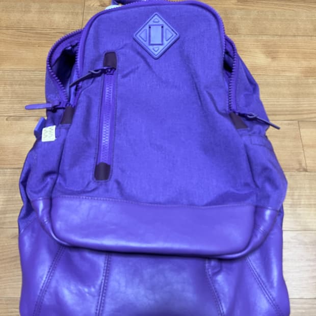 비즈빔 코듀라 20L 백팩