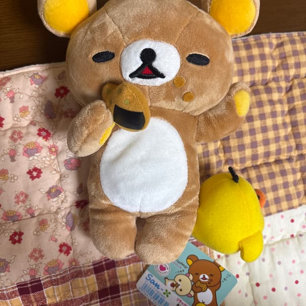 희귀! ) 센베 과자 먹는 리락쿠마 + 키이로이토리