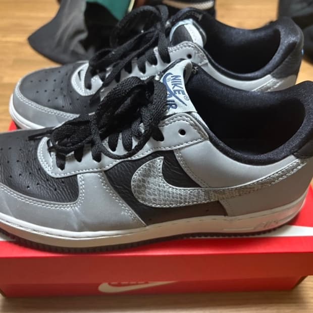 나이키 에어포스1 실버스네이크 260