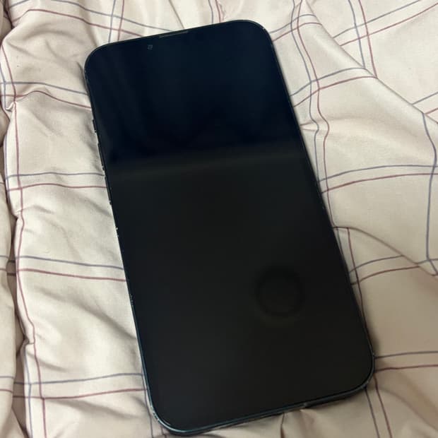 아이폰 13 (+ 케이스증정)