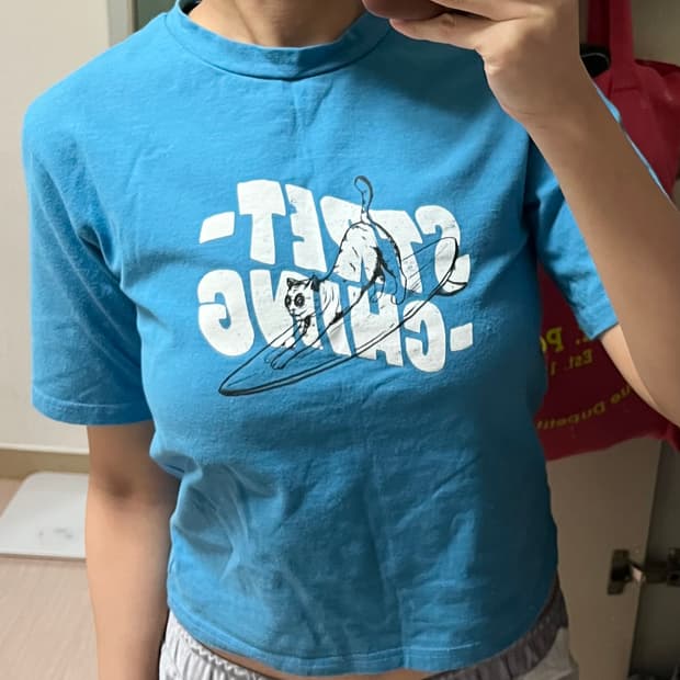Vintage blue crop tee