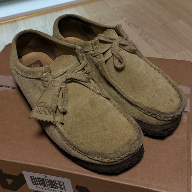 클락스 왈라비 255