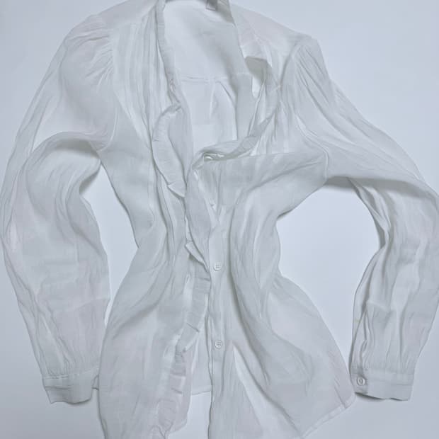 Ethereal fairy seethrough blouse