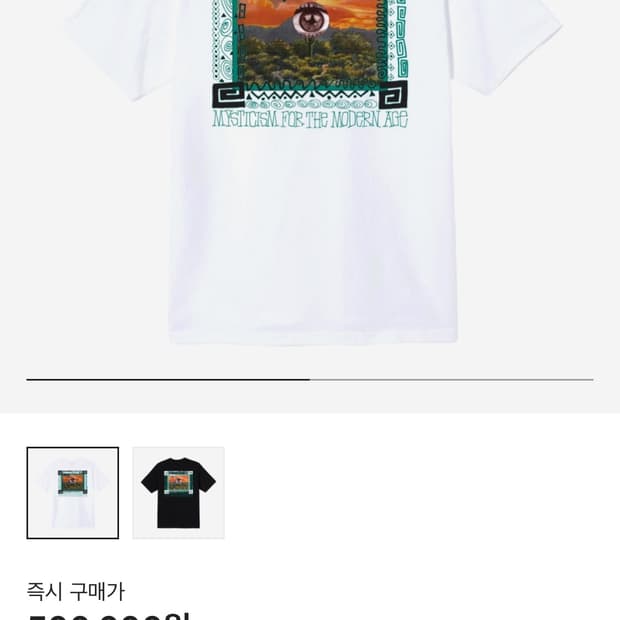 스투시 모하비 티셔츠