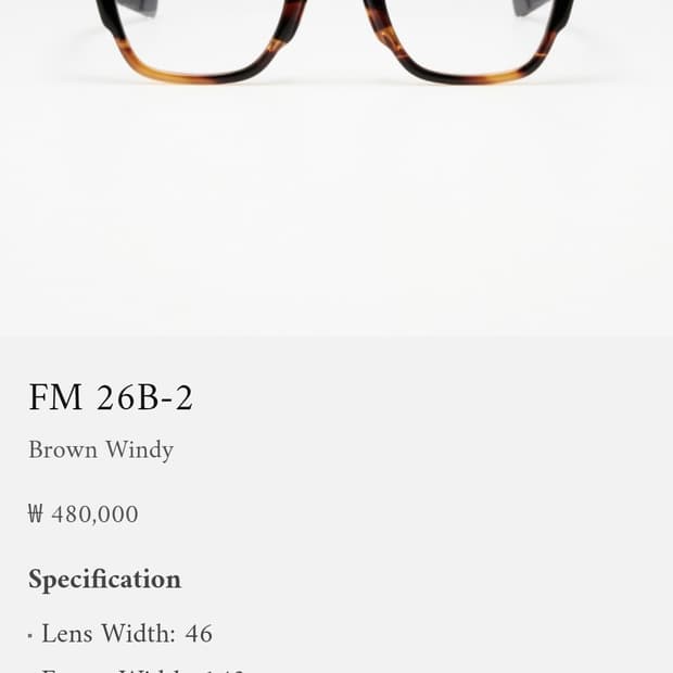 프레임몬타나 fm26 브라운 46사이즈