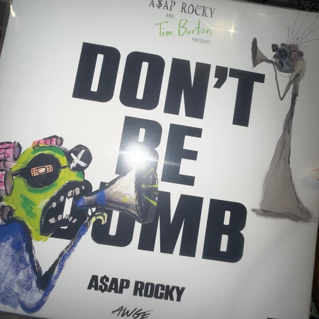 에이셉 라키 돈비덤 LP 엘피 dont be dump asap rocky