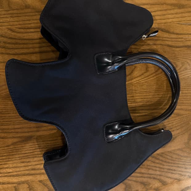 아가타 강아지 가방