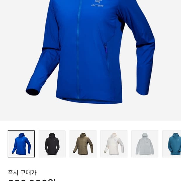 아크테릭스 아톰 sl 후디 바이탈리티