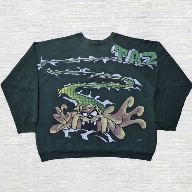 90s 워너브로스 테즈 스웻