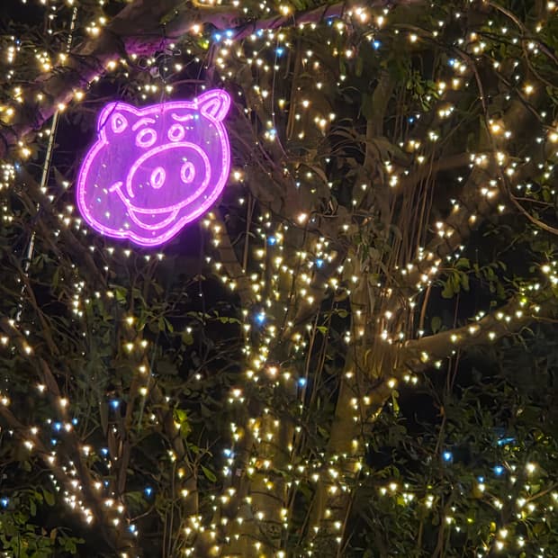 베이프 바지 거래창 입니다ㅏ