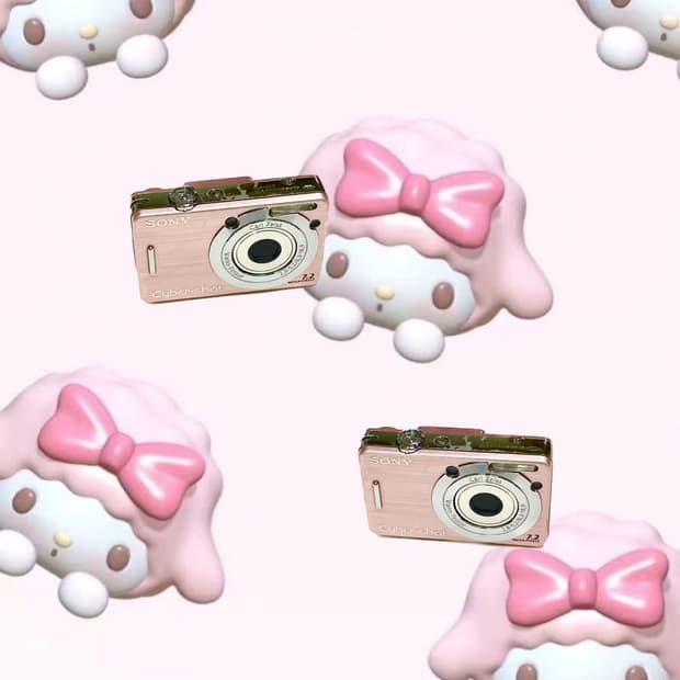 Sony Cyber-shot DSC-W55 디카 캠코더