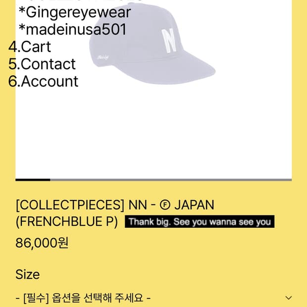 컬렉트피시스 테프스토어즈 캡 라지
